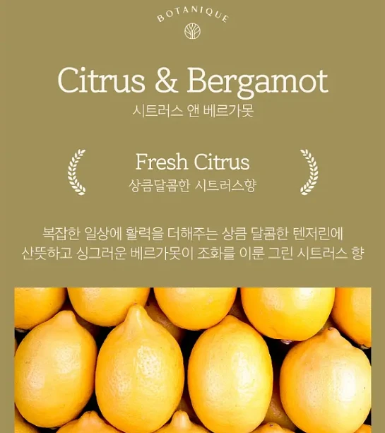 Showermate Botanique body wash 800ml (Citrus Bergamot)