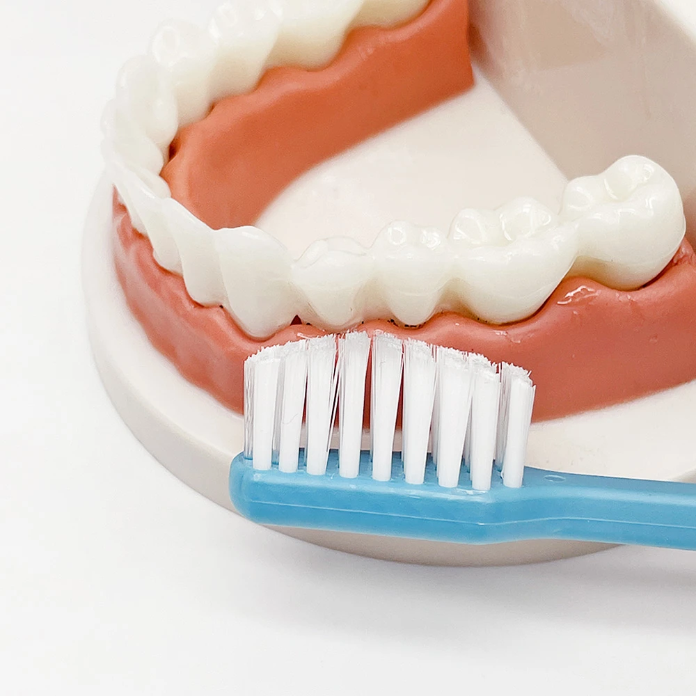 (Uinlui) Eco-pick toothbrush 8P for Adult