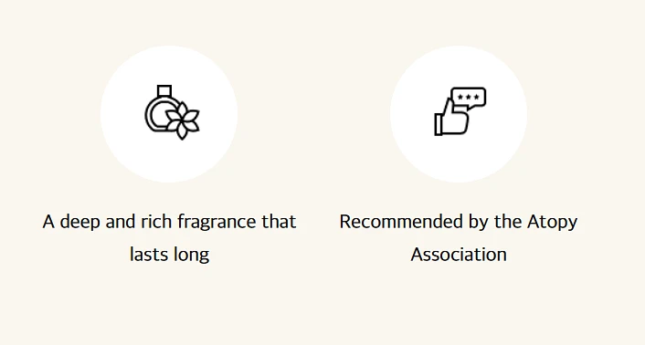 Pigeon Dryer sheet 40 pcs -Mystic Rain