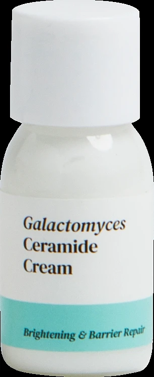 4PM Skin Care Mini Travel Kit